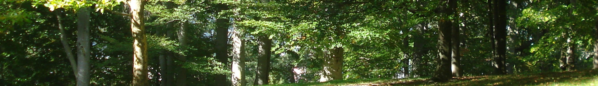 バルセロナ写真紀行2023 / 旅のアドバイス